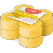 Bolsius Maxilichten Clear Cup 8U Wahre Düfte Mimosa