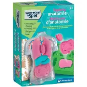Clementoni Jouet éducatif Squishy Anatomie pour enfants à partir de 7 ans