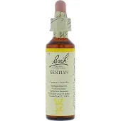 Bach Elixirs Flower Gentiane 20 ml