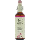 BACH ORIGINAL Elixirs Flower Saule 20 ml