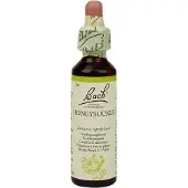Bach Elixirs Flower Chèvrefeuille 20 ml