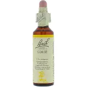 BACH ORIGINAL Elixirs Flower Ajonc 20 ml