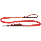 Beeztees Laisse Pour Chien Parinca Elastic