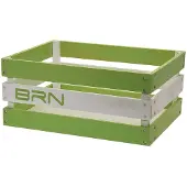 BRN Versilia Basket Vert