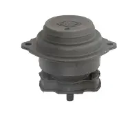 SASIC Support moteur 8071431