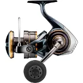 Daiwa Moulinet Spinning Caldia Sw 2023