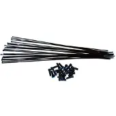 Vision Trimax 30 2016 Spokes And Nipples Kit 19 Units Argenté
