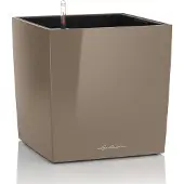 Lechuza Cube Premium 40 - Kit Complet, Taupe Brillant 40 Cm