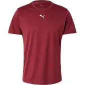 Puma Hommes, T-shirt de sport, M TAD ESSENTIALS HEATHER CAT Tee (CF petit chat) (XXL), Rouge, XXL