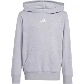 Adidas Essentials Hoodie Gris 11-12 Years Enfants