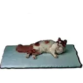 Kruuse Vet-bed 137x92 Cm Pet Bandage Beige