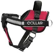 Collar Pet Harnais Pour Chien Dog Extreme Police
