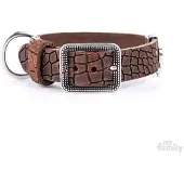 My Family Collier De Chien Tucson