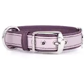 My Family Collier De Chien Firenze
