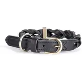 My Family Collier De Chien Ascot