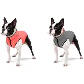 Collar Pet Manteau Pour Chien Airyvest