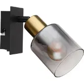 Globo Lampe murale Hollsy noir avec verre fumé