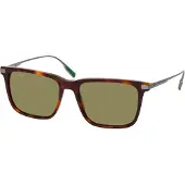 Lacoste Lunettes de Soleil L6017S 55/17/145 Havana Acetate MAN L6017S