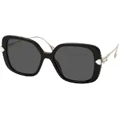 Swarovski Sunglasses SK6011 103887