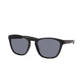 Alpina Sunglasses Gleam Black Matt/Black