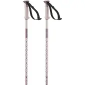 Salomon Bâtons Polar