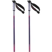 Salomon Bâtons Arctic S3 Xl