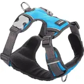 Red Dingo Harnais Pour Chien Acolchado