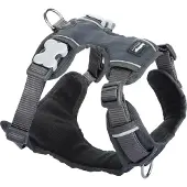 Red Dingo Harnais pour chien rembourré Gris Taille M