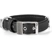 My Family Collier De Chien Bilbao