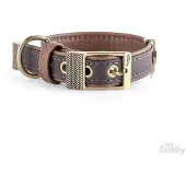 My Family Collier De Chien Bilbao