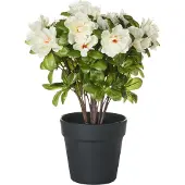 Beliani Plante artificielle NOVELLA 36 cm Blanc