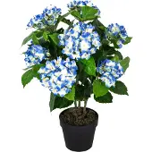 Homescapes Hortensia artificiel bleu en pot, 70 cm