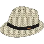 Protest Hat Marron
