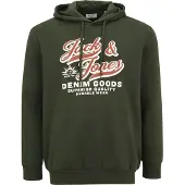 Jack & Jones Logo 2 Plus Size Hoodie Vert 3XL Homme