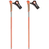Rossignol Bâtons Force 7