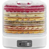 Concept Étuve W SO2080, Déshydrateur alimentaire, Blanc