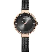 Bering montre Femme 14631-166