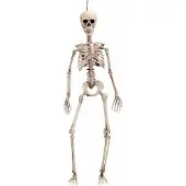 MOM Skeleton 120 Cm Doré Enfants