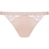 Mey Slip 'Poetry Vogue' rose