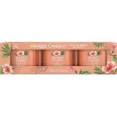 Yankee candle Tropical Breeze