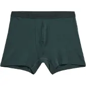 Armedangels Boxers ' RICAARD ' vert foncé