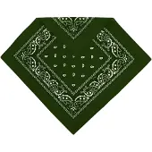 Normani Foulard olive / blanc