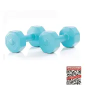 Gymstick Haltère Active Vinyl S 2 X 5kg