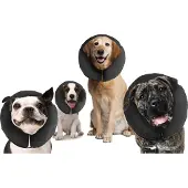 Zenpet Pro Collar - M