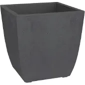 Eda Pot EDA