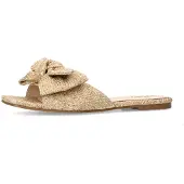 Sacha Mule or