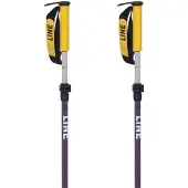 Line Paintbrush Poles Violet 100-133 cm
