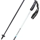 Kästle Piste Ca100 Poles Argenté 135 cm