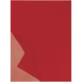 Roeckl Écharpe 'CLASSIC GEORGETTE' rouge