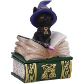 Nemesis Now Figurine de collection Binx et boîte à sortilèges 11cm